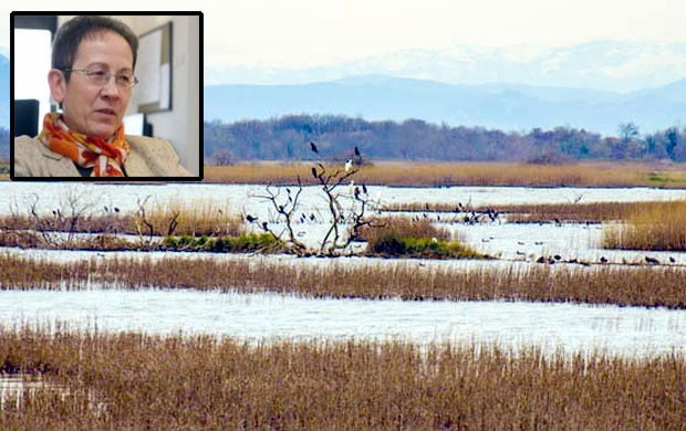 Солана препрека ка ЕУ